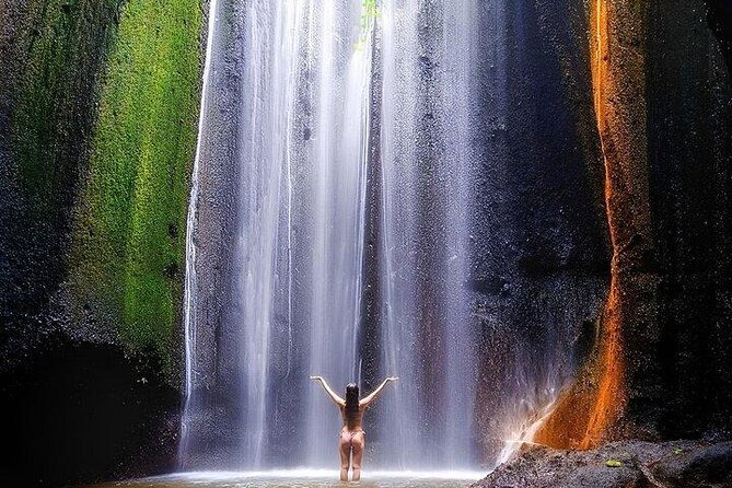 Best of Bali Waterfall, Tegalalang Rice Terrace, Monkey Forest - Transportation and Logistics
