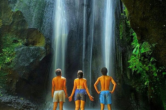 Best of Bali Waterfall, Tegalalang Rice Terrace, Monkey Forest - Customer Reviews