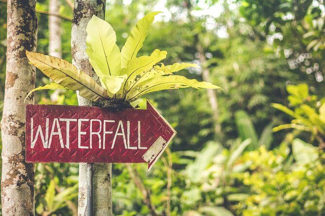 Best of Bali Waterfalls. Part 2 (Sekumpul, Munduk, and Banyumala Twins) - Discovering the Banyumala Twins