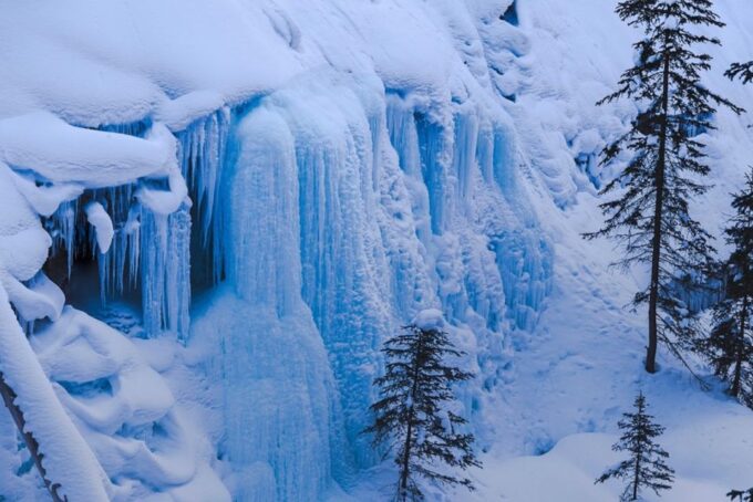 Best of Banff Winter | Lake Louise, Frozen Falls & More - Opportunities for Wildlife Sightings