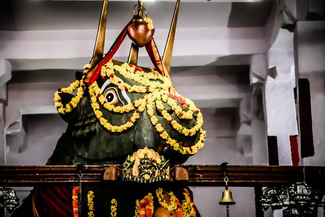Best of Bangalore Private Tour - Exclusions in the Tour