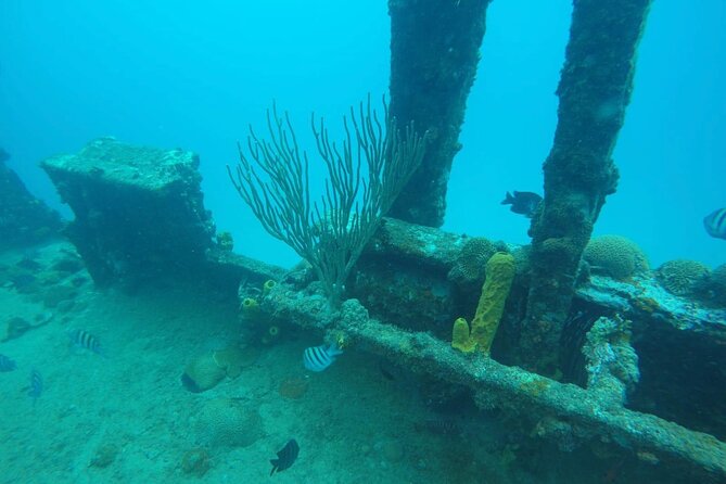 Best of Barbados Land and Sea Tour - Cancellation Policy and Minimum Requirement