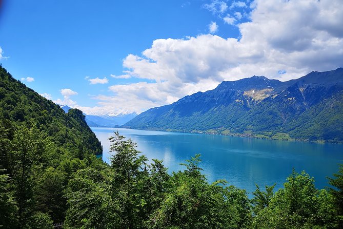Best of Bernese Oberland From Basel - Key Points