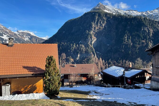 Best of Bernese Oberland & Swiss Countryside (Private Tour) - Accessibility and Additional Information
