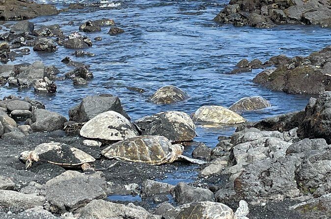 Best of Big Island: Volcanoes, Waterfall, Blacksand Beach & Lunch - FAQs
