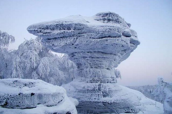 Best of Bohemian and Saxon Switzerland Day Trip From Dresden- Fantasy Tour - Booking Information
