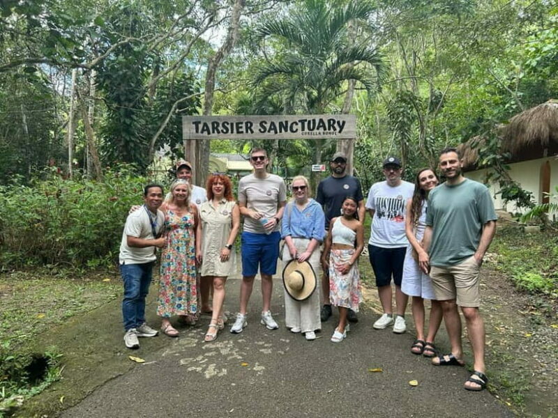 BEST OF BOHOL: Chocolate Hills & Tarsier w Lunch at Loboc - Who Would Enjoy This Tour?