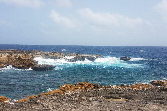 Best of Bonaire - Full Island Tour With a Local. - About Your Stay