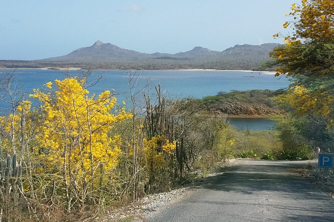 Best of Bonaire - Full Island Tour With a Local. - Included Experiences