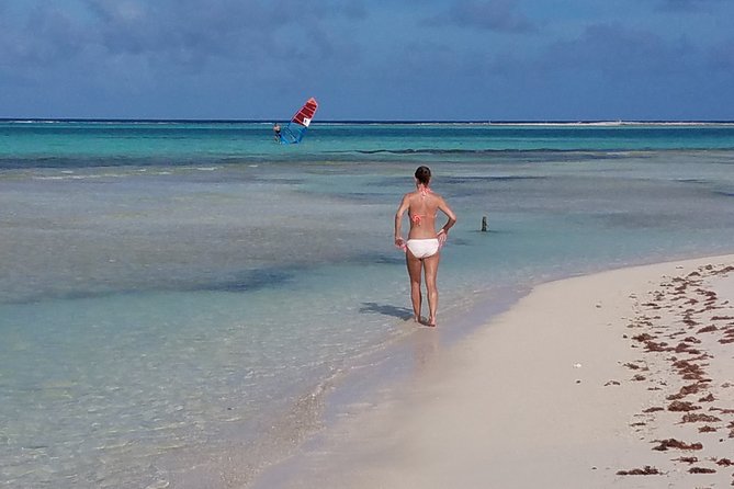 Best of Bonaire - Full Island Tour With a Local. - Operator and Pricing
