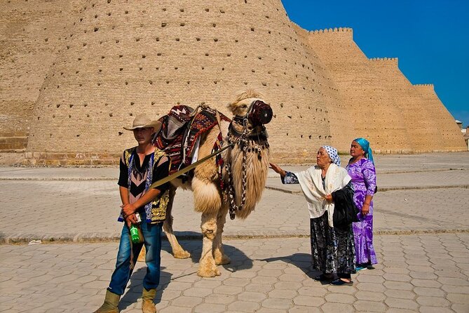 Best of Bukhara: All Day Private Old Town Tour - Tour Duration and Accessibility