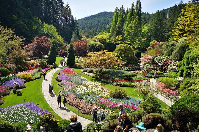 Best of Butchart Gardens City Highlights Private Tour - Locations Visited