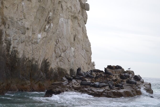 Best of Cabo Highlights 6x1 - Sailing the Sea of Cortez