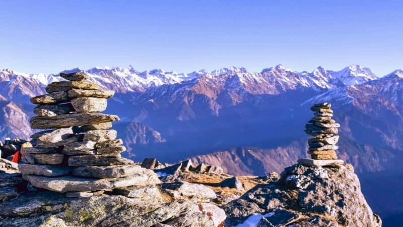 Best of Cairns: Private Walking Tour with a Local - Who Should Consider This Tour?
