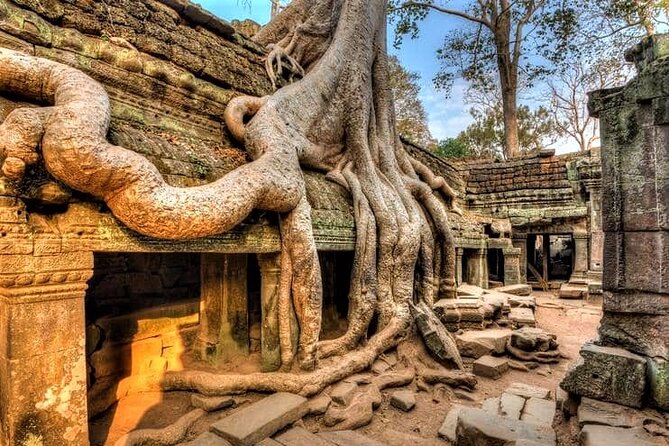 Best of Cambodia 6 Days Private Tours - Traveler Reviews and Ratings