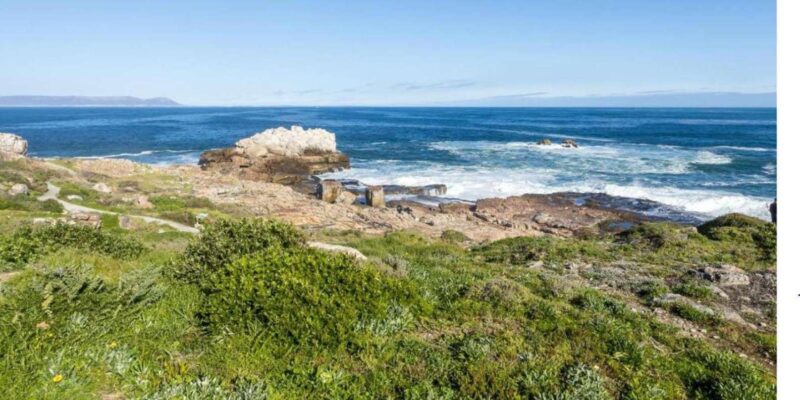 Best of Cape Town 3Day Private Tour - Includes Accommodation - Day 2: Cape Peninsula Tour