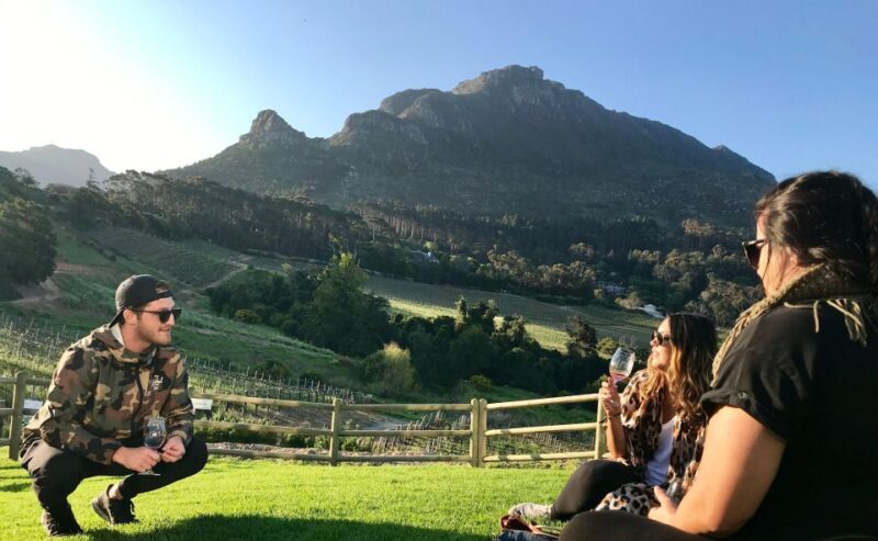 Best of Cape Town in a Day (Cape Point, Penguins and More) - Itinerary