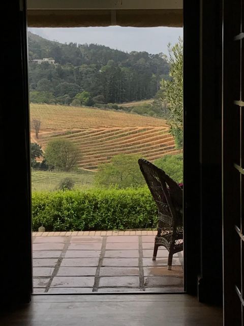 Best of Cape Town in a Day (Cape Point, Penguins and More) - Guided Tours and Activities