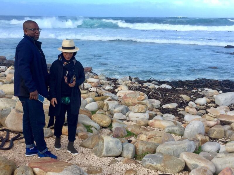 Best of Cape Town in a Day (Cape Point, Penguins and More) - Highlights