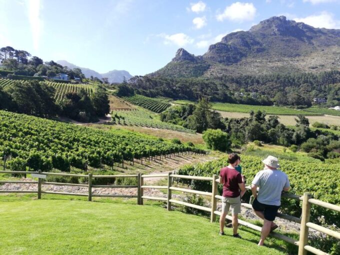 Best of Cape Town in a Day (Cape Point, Penguins and More) - Inclusions