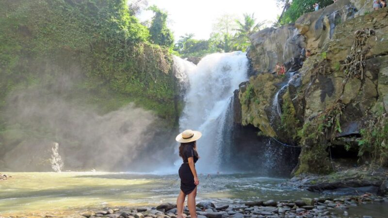 Best of Central Bali: Waterfall, Elephant Cave & Rice Fields - Tegenungan Waterfall
