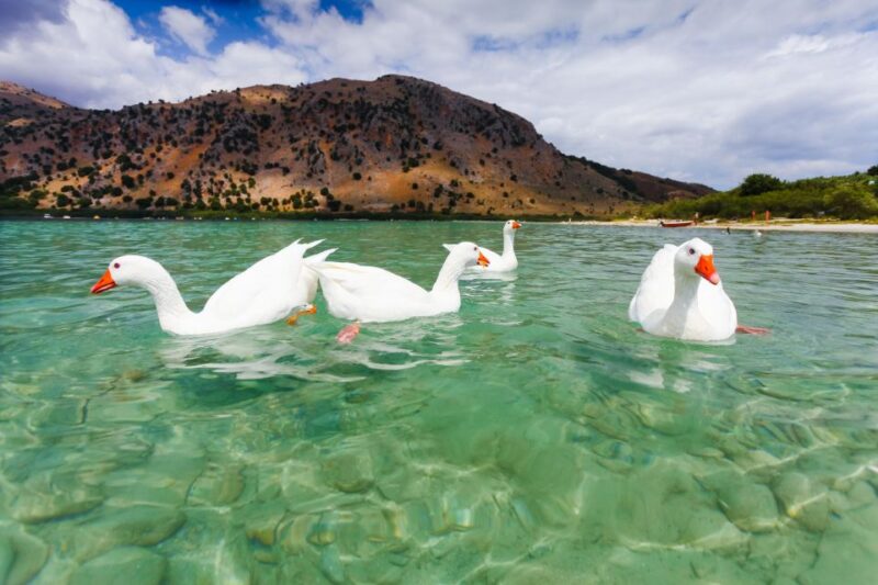 Best of Chania Sights & Lake Kournas Full Day Private Tour - Included Services