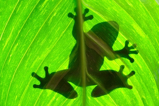 Best of Costa Rica 12D/11N Vacation Package - Explore San José