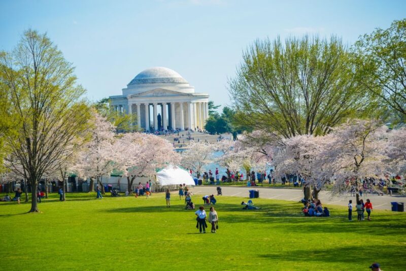 Best of DC: Panoramic City Tour & Sunset Tour Combo - Tour Highlights