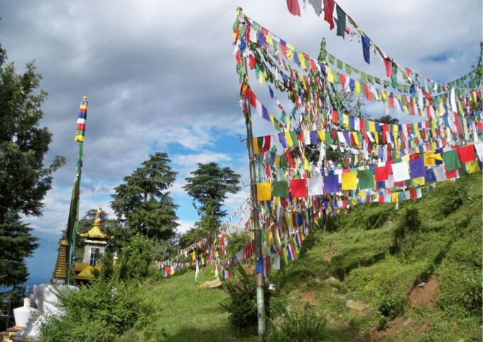 Best of Dharamshala With a Local - Full Day Guided Tour - Explore Picturesque Valley