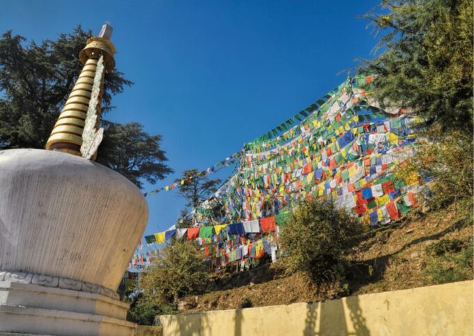 Best of Dharamshala With a Local - Full Day Guided Tour - Frequently Asked Questions