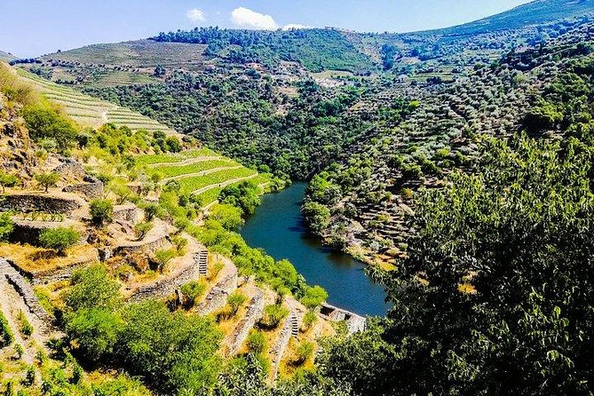 Best of Douro Valley Wine Full Day Private Tour - Itinerary Highlights