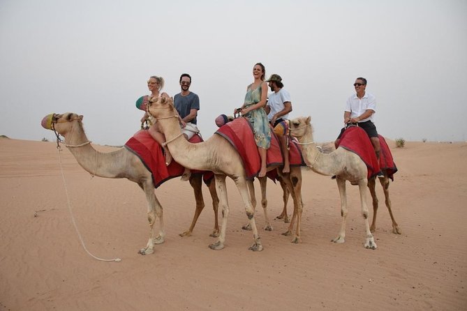 Best of Dubai : Dubai City Tour + Evening Desert Safari With All Activities - Morning Tour Highlights