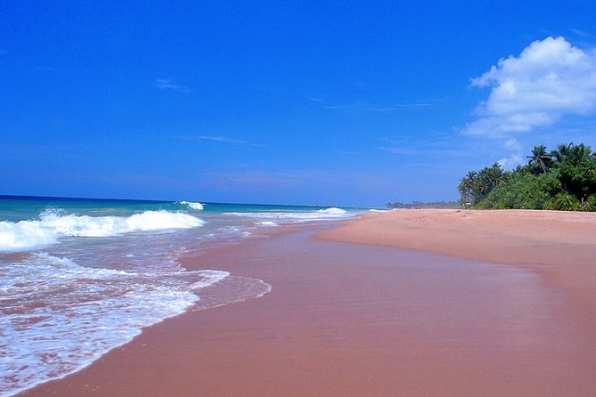 Best of East and Surf - Sri Lanka ( 10 N / 11 D) - Exploring Historic Fortresses