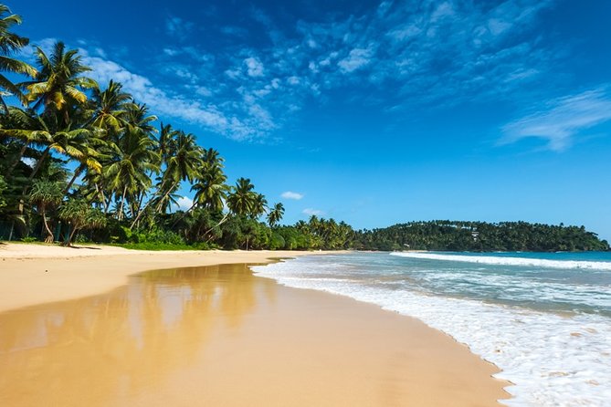 Best of East and Surf - Sri Lanka ( 10 N / 11 D) - Surfing and Beach Bliss