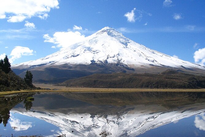 Best of Ecuadors Mainland in 10 Days - Mindo: Ecotourism and Birdwatching Paradise