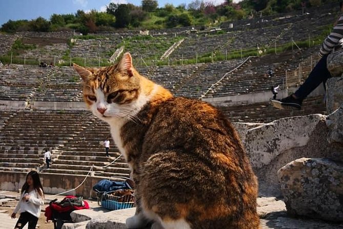 Best of Ephesus Tour - Transportation and Logistics