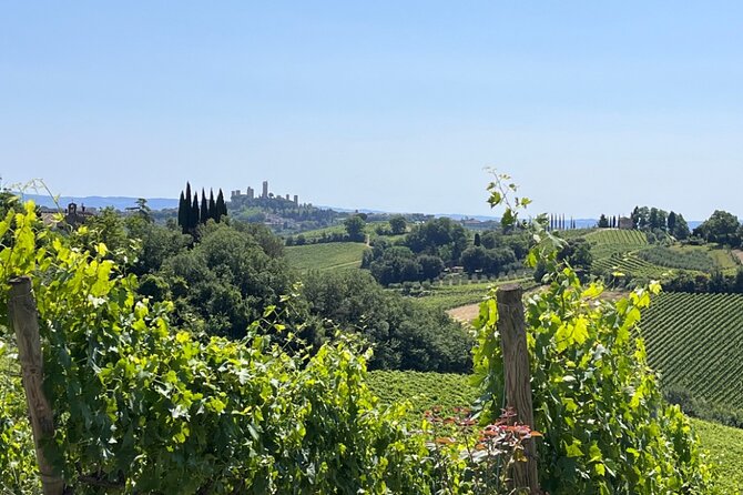 Best of Florence & Tuscany Day Tour by High-Speed Train From Rome - Tour Highlights