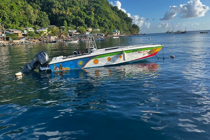 Best Of Full-Day Snorkeling & Beach Excursion with lunch & drinks - A Deep Dive into the Tour Experience