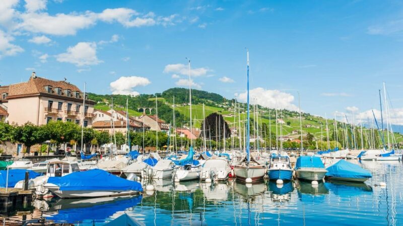 Best of Geneva: Private Walking Tour With a Local - Tour Customization and Group Details