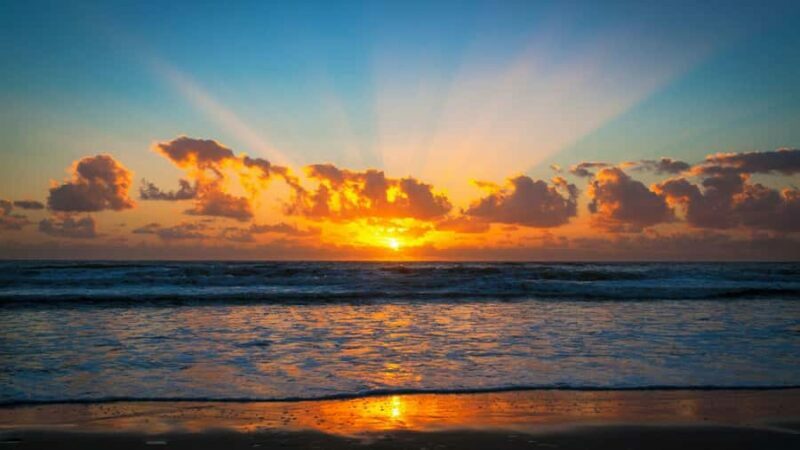 Best of Gold Coast: Private Walking Tour with a Local - What Travelers Say