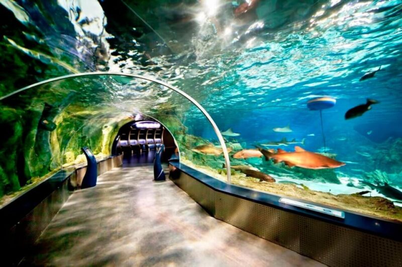 Best of Istanbul Aquarium Tour With Ticket & Hotel Transfer - Facility Details