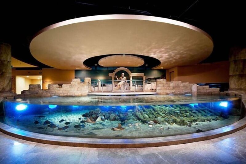 Best of Istanbul Aquarium Tour With Ticket & Hotel Transfer - Tour Logistics