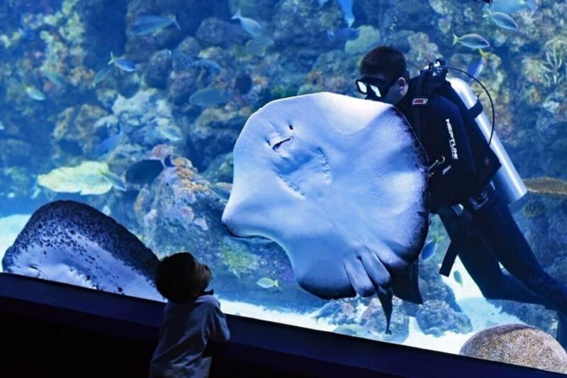 Best of Istanbul Aquarium Tour With Ticket & Hotel Transfer - Participant Information
