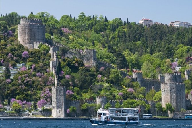 Best of Istanbul With Bosphorus Cruise - Hagia Sophia and Blue Mosque