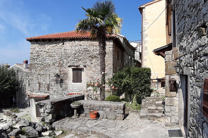 Best of ISTRIA: Amphitheater PULA + ROVINJ + HUM or POREČ - Fully Private Tour - Inclusions and Exclusions