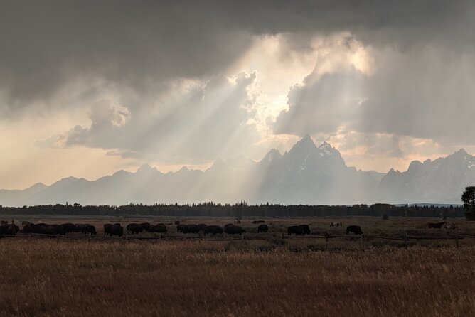 Best of Jackson Hole and The Grand Tetons Private Tour (Summer and Winter) - Meeting and Pickup
