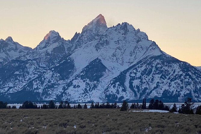 Best of Jackson Hole and The Grand Tetons Private Tour (Summer and Winter) - National Museum of Wildlife Art