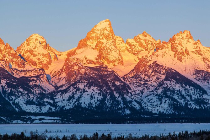 Best of Jackson Hole Wildlife Safari Tour - Inclusions: Meals, Gear, and More