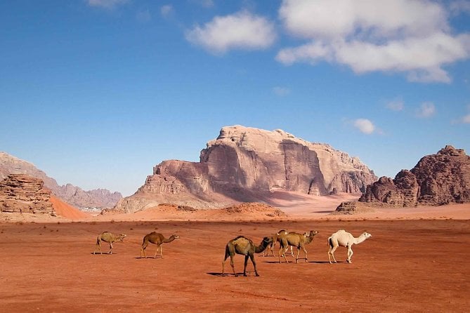 Best of Jordan Tour Amman Petra and Dead Sea With Camping at Wadi Rum - Cultural Immersion and Historical Significance