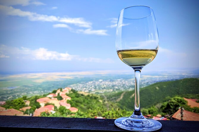 Best of Kakheti - Gareji and Signagi Private Full Day Tour - Infant Seats and Cancellation Policy